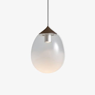 Ovoin Suspension Lampe Artistique en Verre