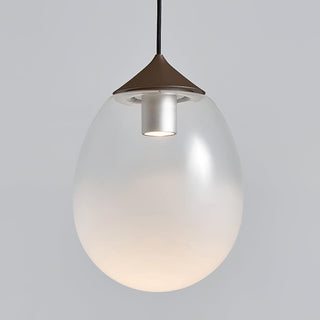 Ovoin Suspension Lampe Artistique en Verre