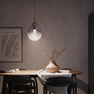 Ovoin Suspension Lampe Artistique en Verre