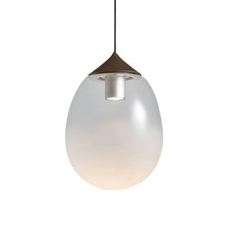 Ovoin Suspension Lampe Artistique en Verre