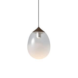 Ovoin Suspension Lampe Artistique en Verre