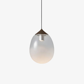 Ovoin Suspension Lampe Artistique en Verre