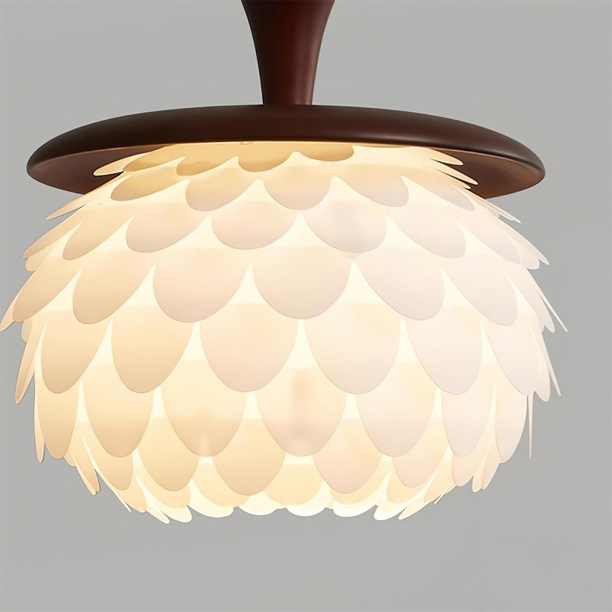 Ardella Suspension
