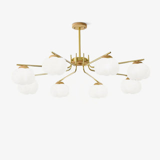 Cohen Lustre Moderne