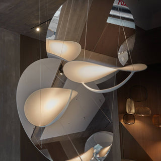 Ultalyra Suspension PVC