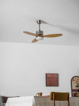 Ventilateur de plafond HushGlow avec lumière