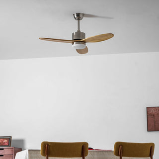 Ventilateur de plafond HushGlow avec lumière