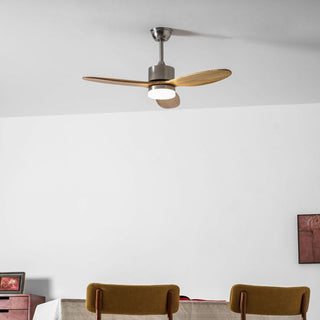 Ventilateur de plafond HushGlow avec lumière