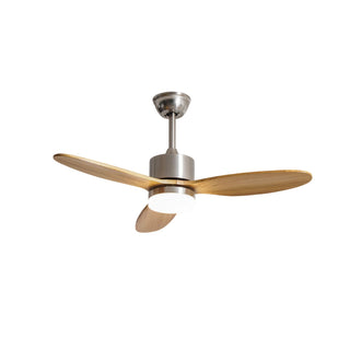 Ventilateur de plafond HushGlow avec lumière