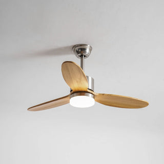 Ventilateur de plafond HushGlow avec lumière