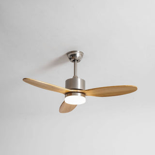 Ventilateur de plafond HushGlow avec lumière