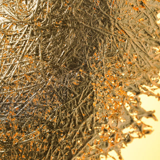 Derek Contemporain Applique