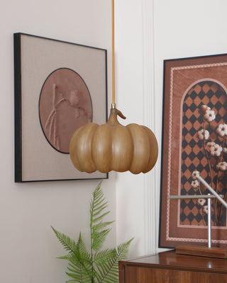 Duzy Pumpkin Lampe Suspendue Résine Vintage Japonaise-Luire