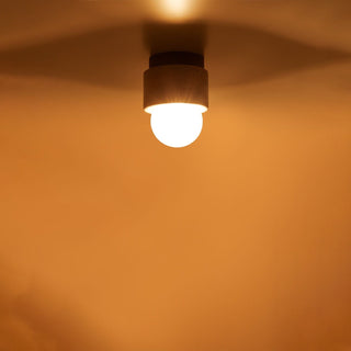 Avrenelle Plafonnier