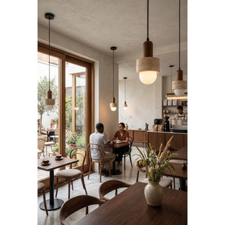 Davise Suspension