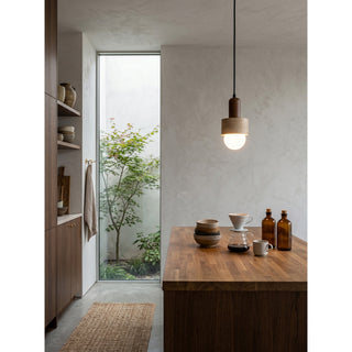 Davise Suspension