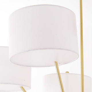Arlissia Lustre