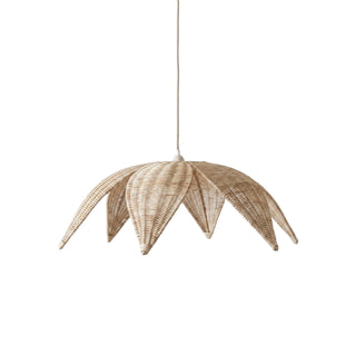 Selvyn Suspension