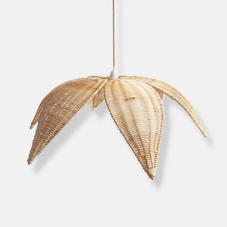 Selvyn Suspension