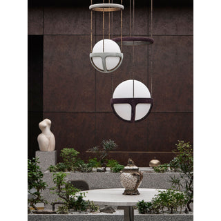 Liorirelle Suspension
