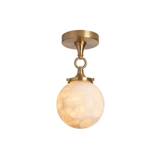 Cirisine Suspension