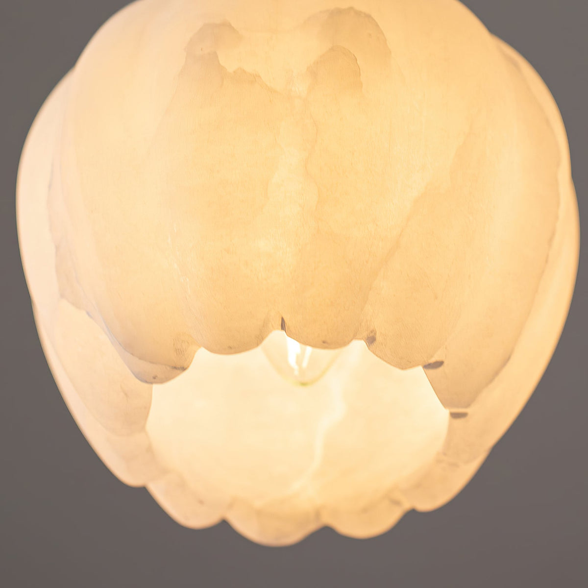 Orelivissa Lustre