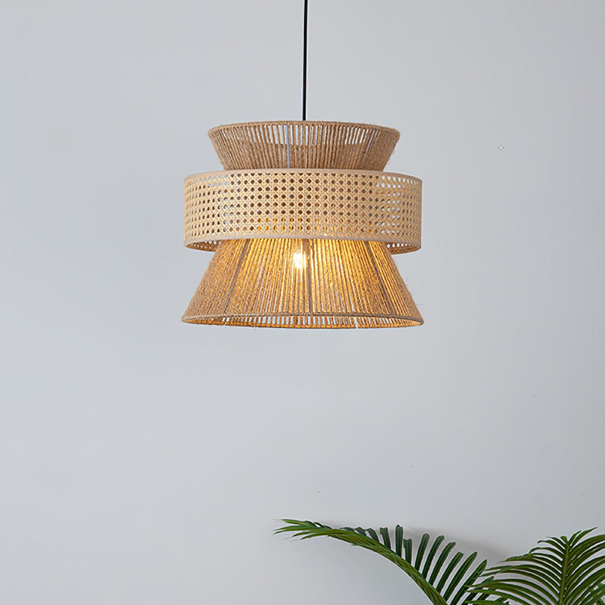 Renaora Suspension