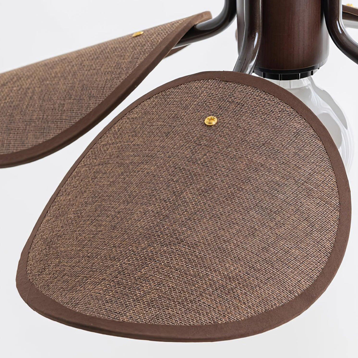 Polli Suspension