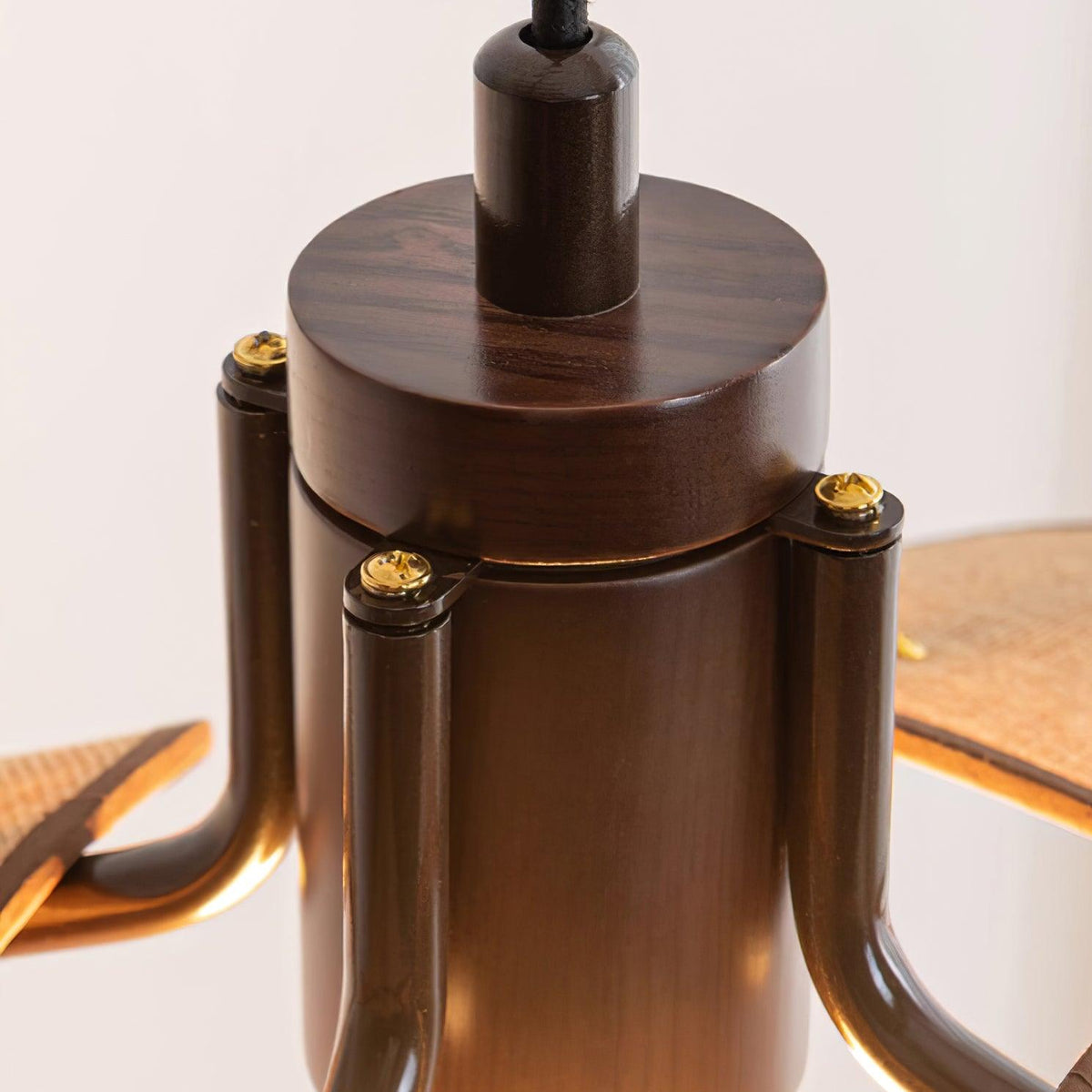 Polli Suspension