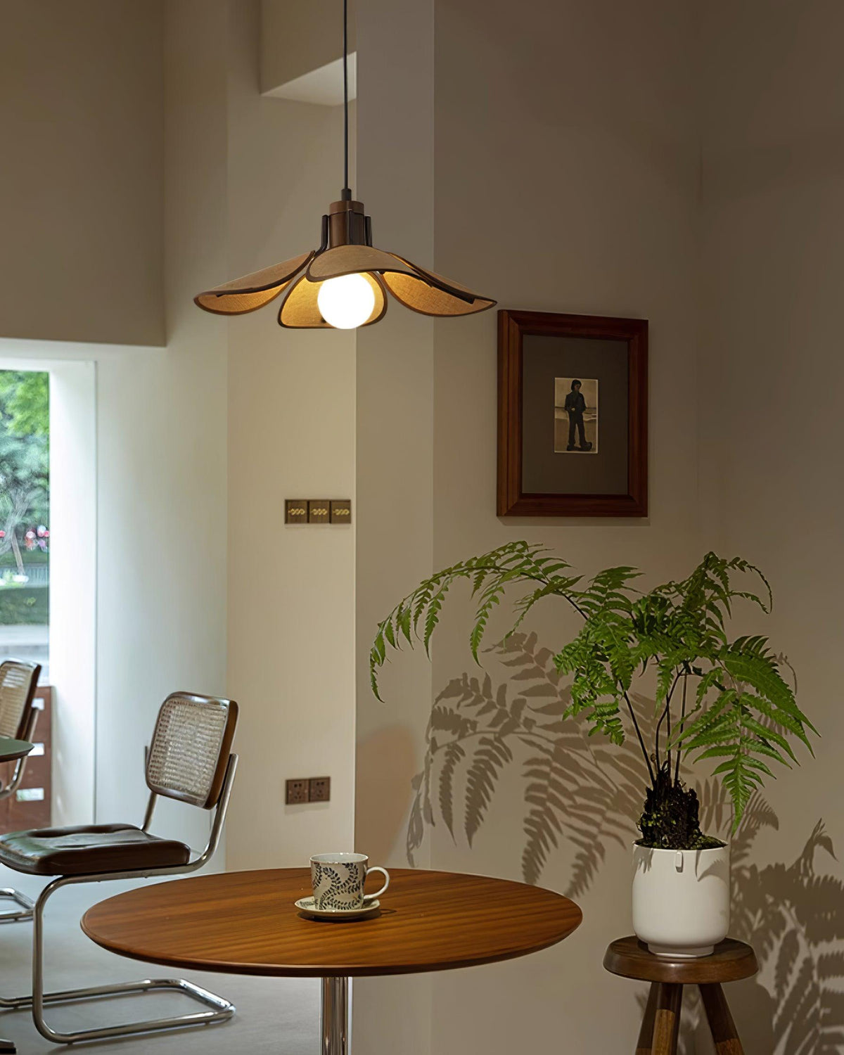 Polli Suspension