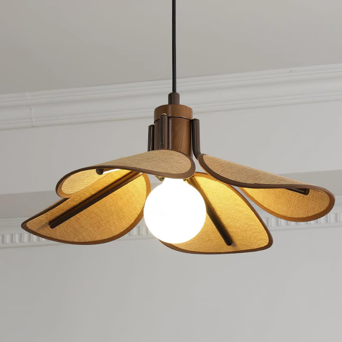 Polli Suspension