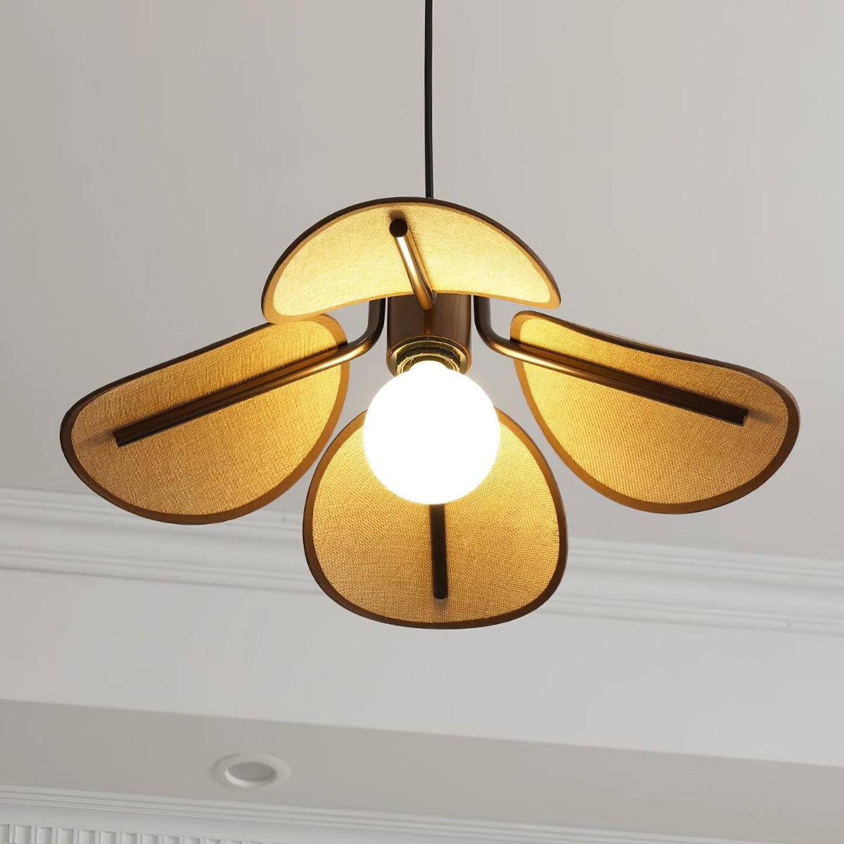 Polli Suspension