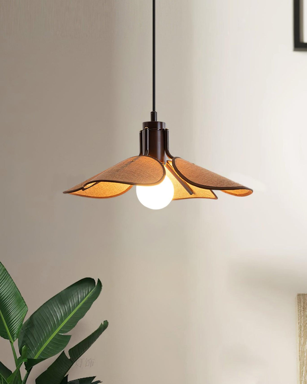Polli Suspension