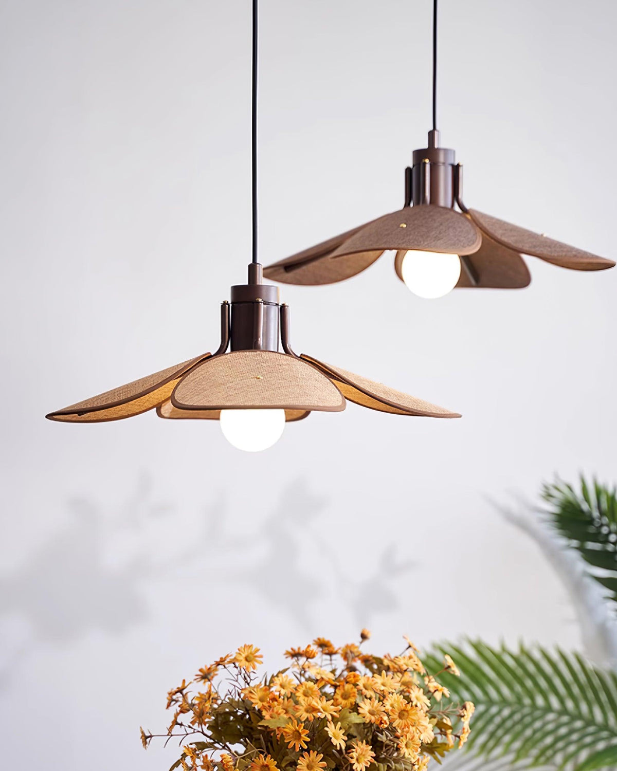Polli Suspension