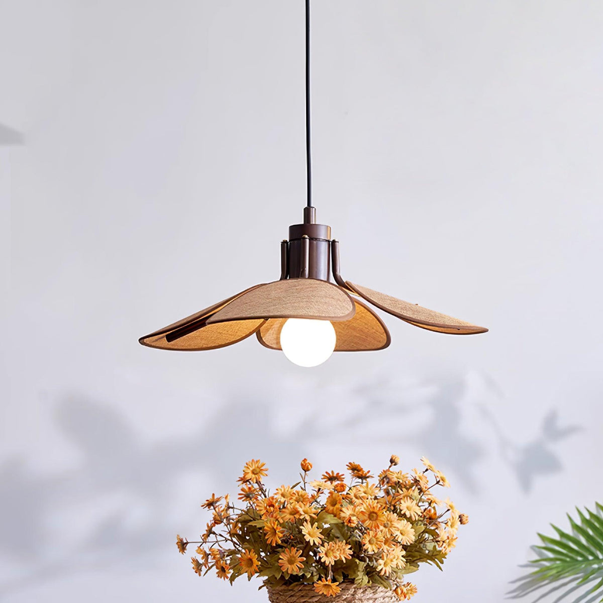 Polli Suspension