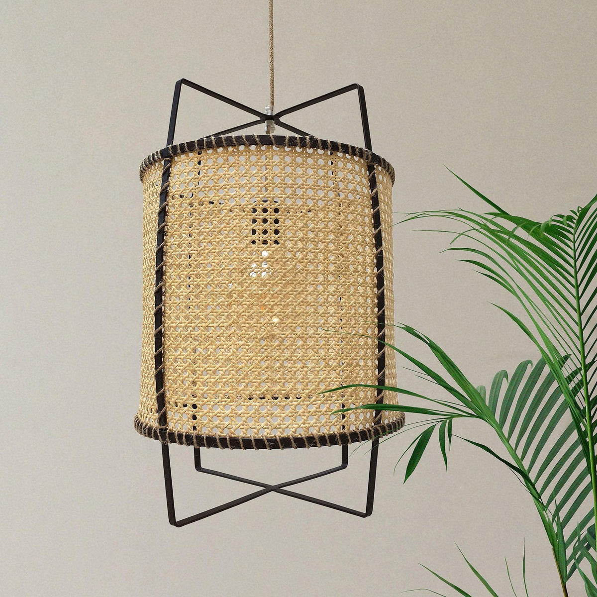 Bellia Suspension