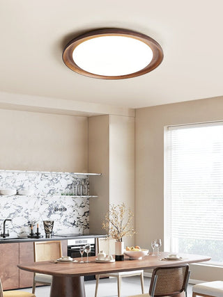 Rhylen Ceiling Lamp-Neutral Decor
