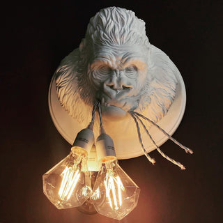 Veleda Applique Murale en Résine Premium Élégance