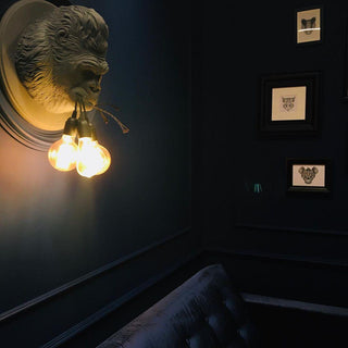 Veleda Applique Murale en Résine Premium Élégance