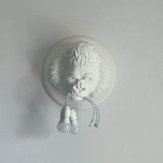 Veleda Applique Murale en Résine Premium Élégance