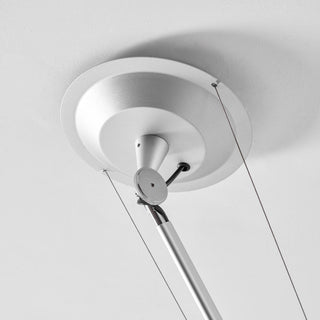 Sorinia Suspension