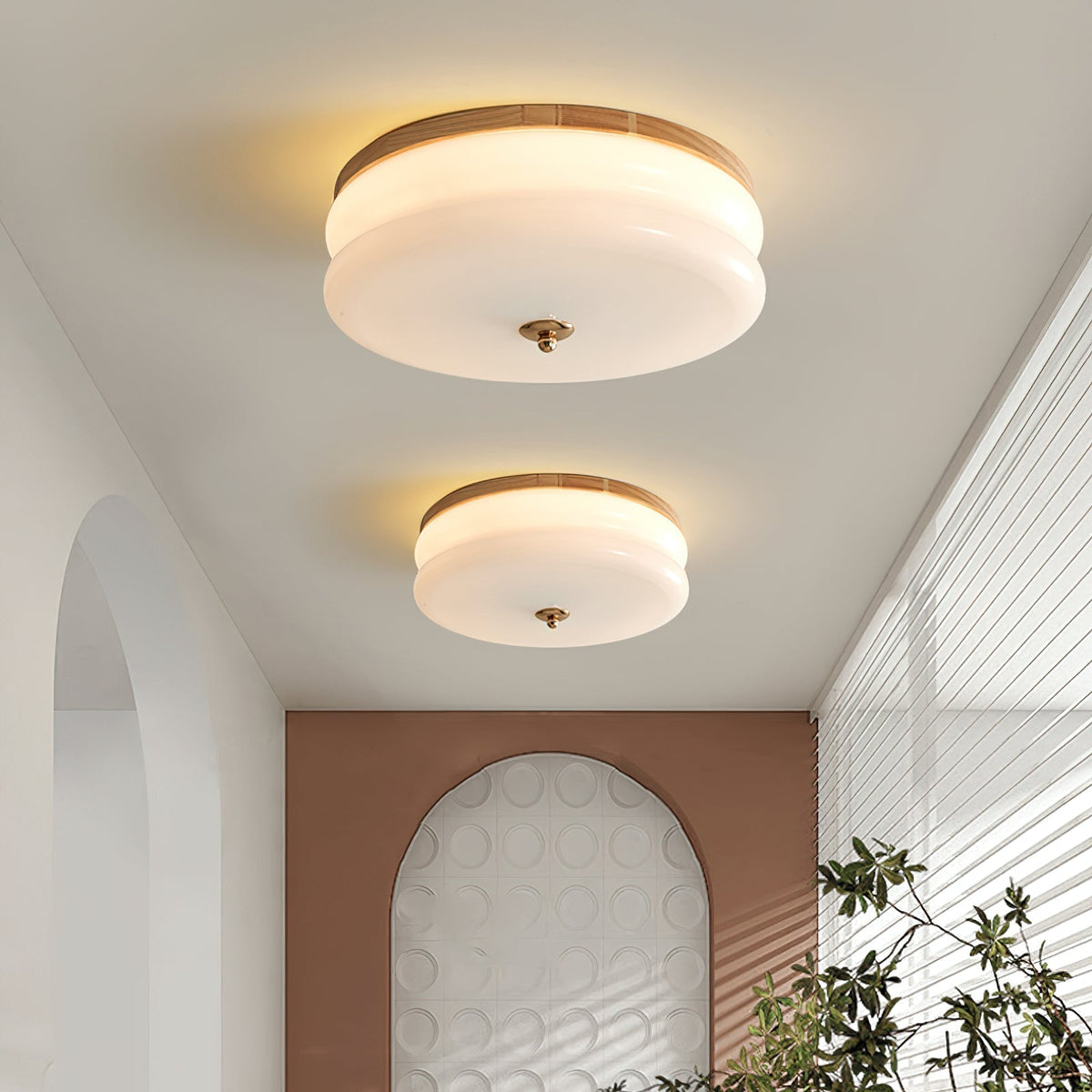 Cora Ceiling Light Double-Layer Glass Disc Walnut Minimalist-Neutral Decor