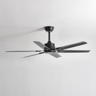 Ventilateur de plafond Premium Vosolara