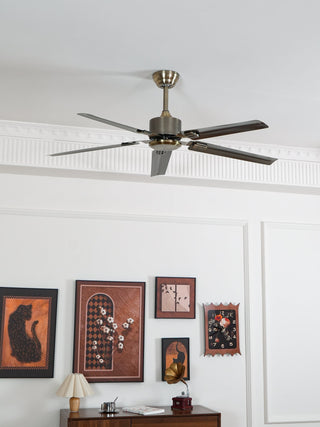 Ventilateur de plafond Premium Vosolara