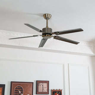 Ventilateur de plafond Premium Vosolara