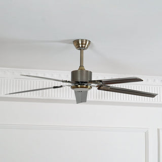 Ventilateur de plafond Premium Vosolara
