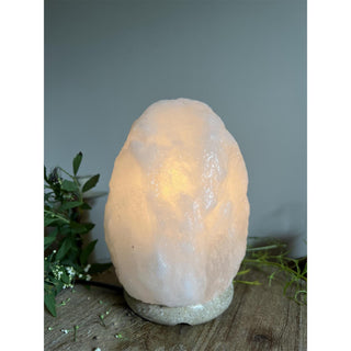Salt Lampe à poser