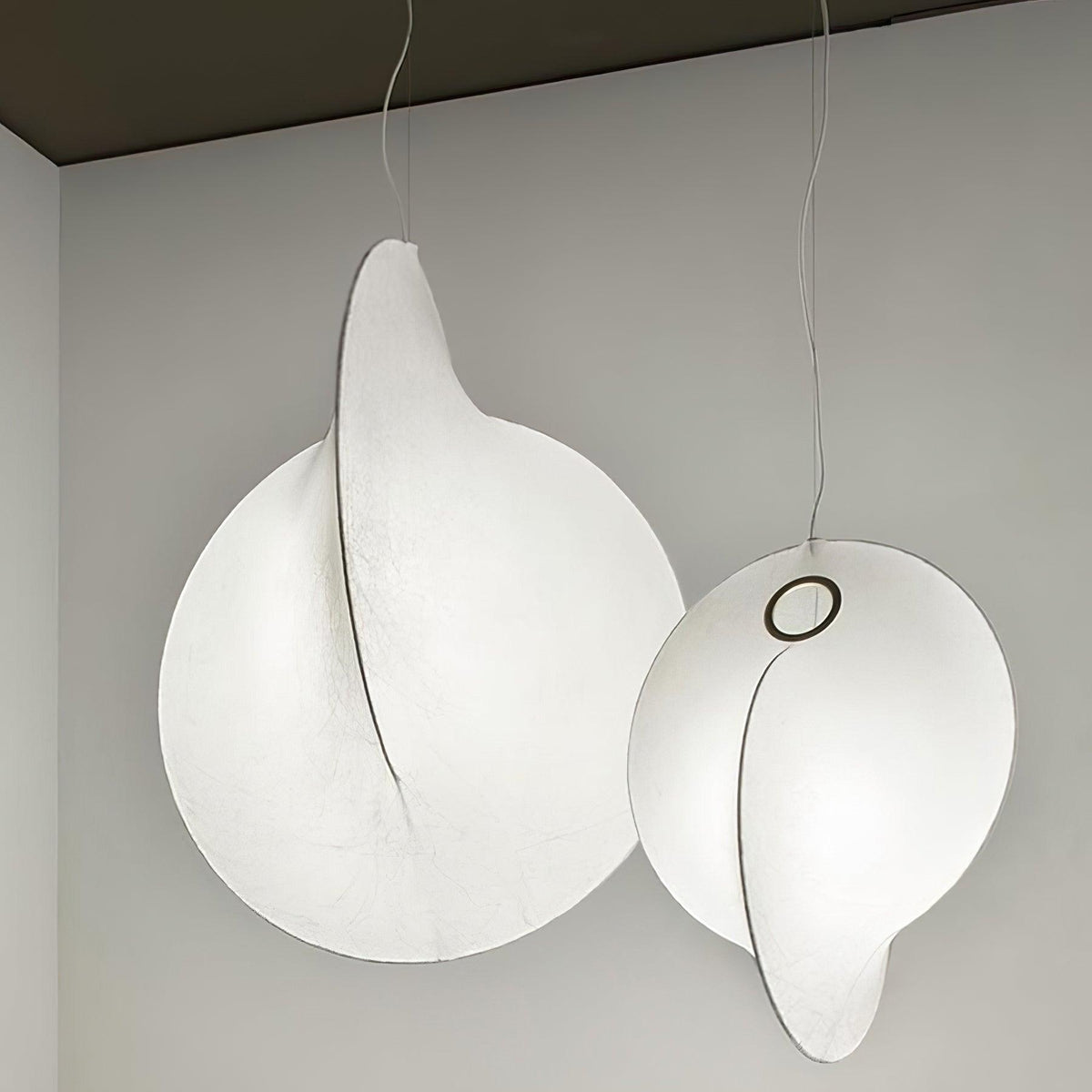 Seliia Suspension