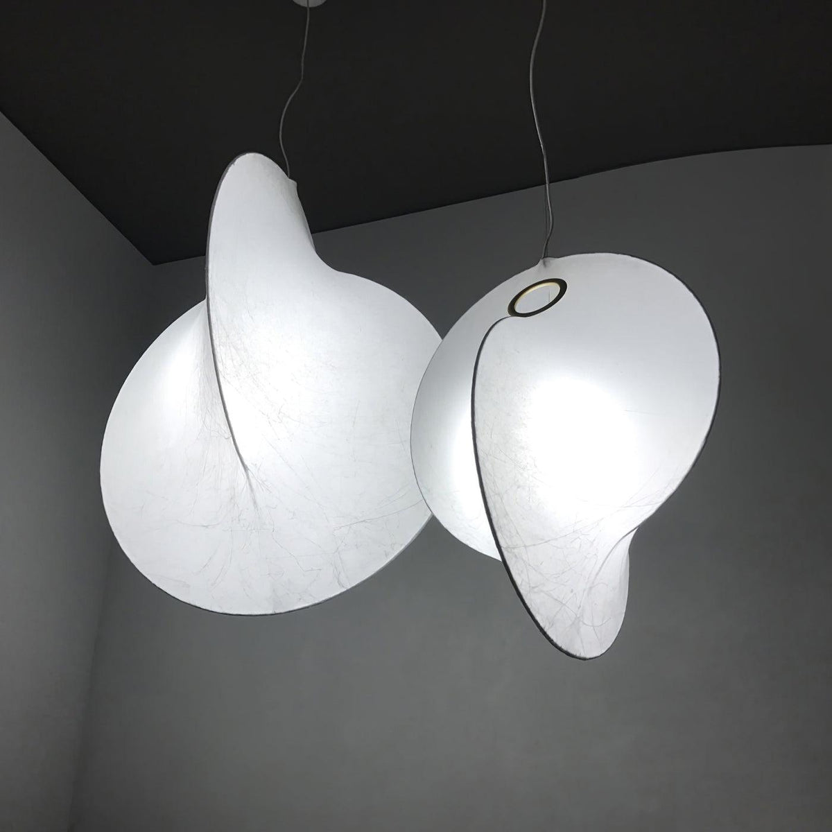 Seliia Suspension