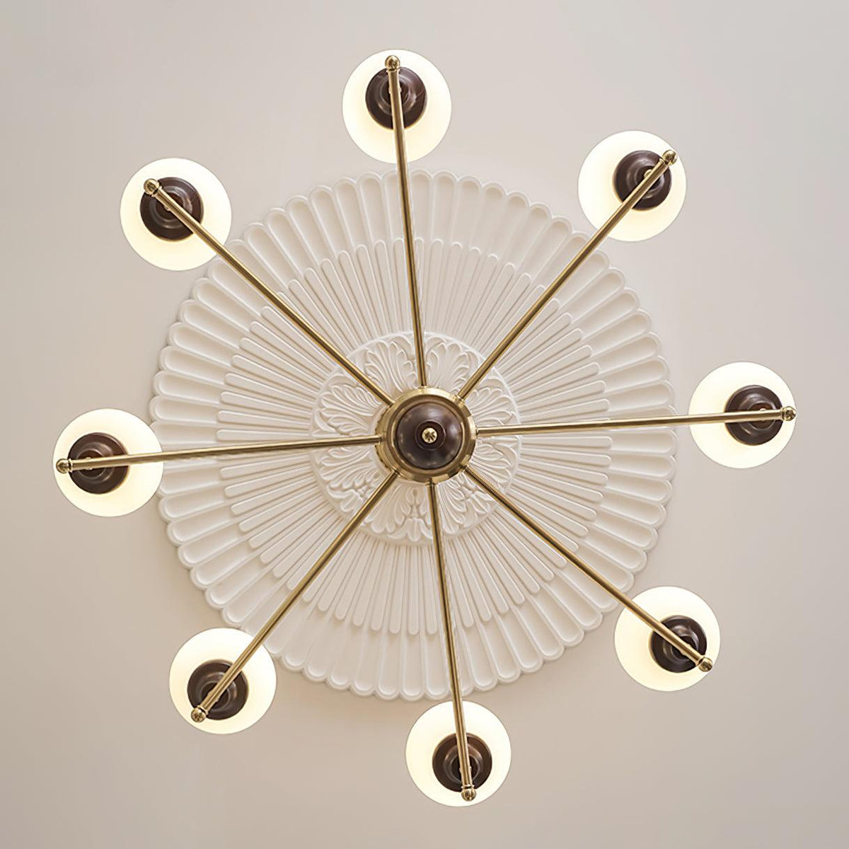 Calivora Lustre